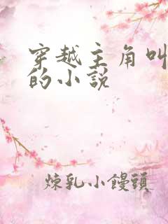 穿越主角叫李辰的小说