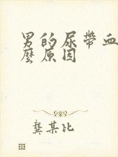 男的尿带血是什么原因