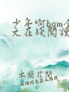 少年啊bgm全文在线阅读免费阅读