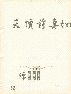 天价前妻txt