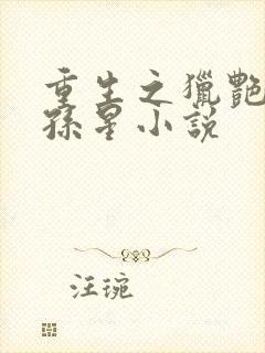 重生之猎艳后宫孙星小说