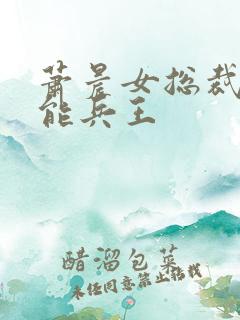 萧晨女总裁的全能兵王