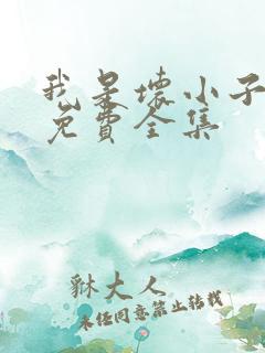 我是坏小子漫画免费全集