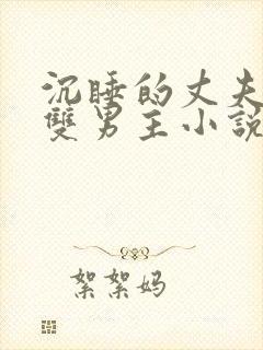 沉睡的丈夫by双男主小说推荐