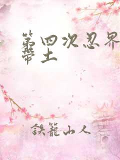 第四次忍界大战带土