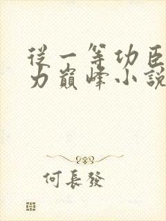 从一等功臣到权力巅峰小说免费阅读