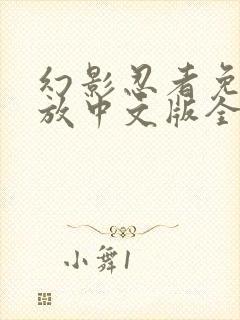 幻影忍者免费播放中文版全季