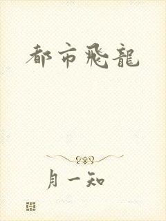 都市飞龙