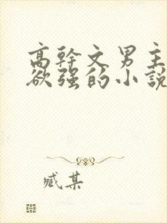 高干文男主占有欲强的小说