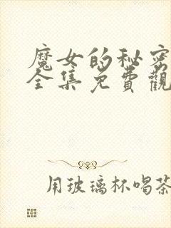 魔女的秘密契约全集免费观看