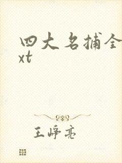四大名捕全集txt