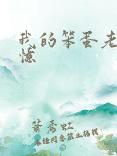 我的笨蛋老婆失忆