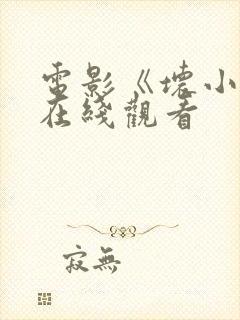 电影《坏小子》在线观看