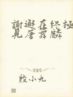 谢邂在终极斗罗见唐舞麟