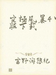 究极风暴4中文版下载