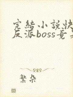 完结小说快穿:反派boss竟是我自己