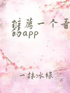 推荐一个看小说的app