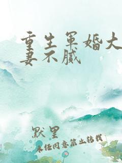 重生军婚大佬宠妻不腻