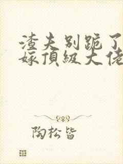 渣夫别跪了夫人嫁顶级大佬显怀啦 小说