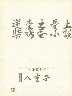 逆袭之爱上情敌柴鸡蛋小说最新篇章