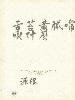 舌苔黄腻嘴发甜吃什么