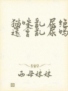 猫咪乱尿绝育后还会乱尿吗