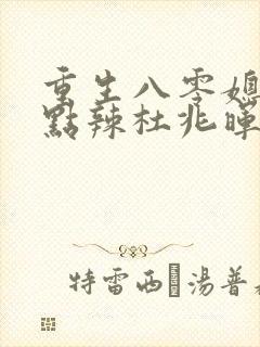 重生八零媳妇有点辣杜兆晖结局