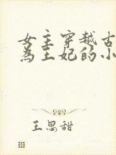 女主穿越古代成为王妃的小说