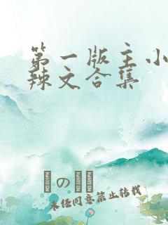 第一版主小说网辣文合集