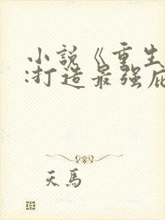 小说《重生末世:打造最强庇护所》