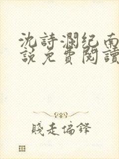 沈诗澜纪南风小说免费阅读最新章节