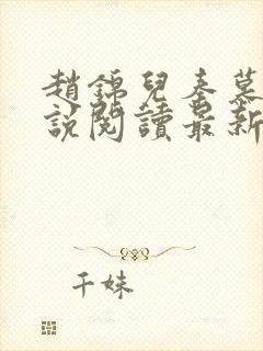 赵锦儿秦慕修小说阅读最新