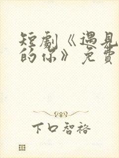 短剧《遇见正确的你》免费观看全集