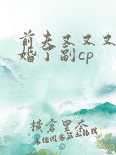前夫又又又想复婚了副cp