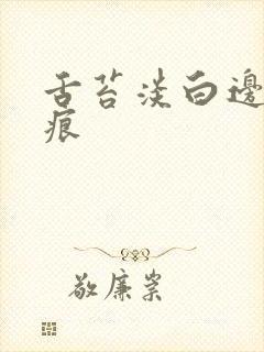 舌苔淡白边有齿痕