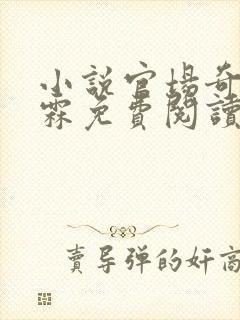 小说官场奇才李霖免费阅读