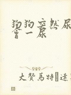 狗狗突然尿频一会一尿