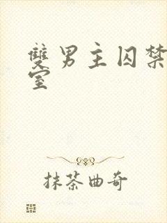 双男主囚禁地下室