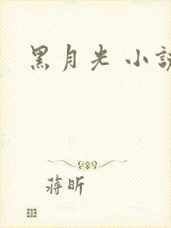 黑月光 小说
