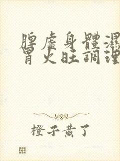 脾虚身体湿气重胃火旺调理