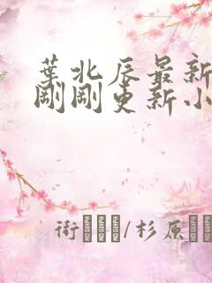 叶北辰最新章节刚刚更新小说全文阅