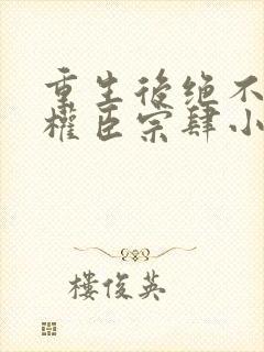 重生后绝不嫁给权臣宗肆小说