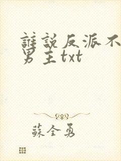 谁说反派不能当男主txt