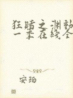 狂赌之渊动漫第一季在线全集免费观看