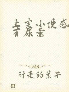 上完小便感觉还有尿意