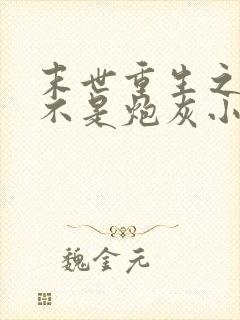 末世重生之我可不是炮灰小说