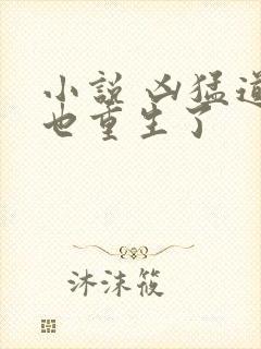 小说 凶猛道侣也重生了