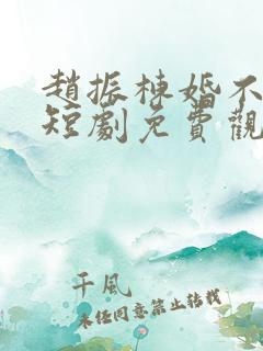 赵振栋婚不容情短剧免费观看全集高清版