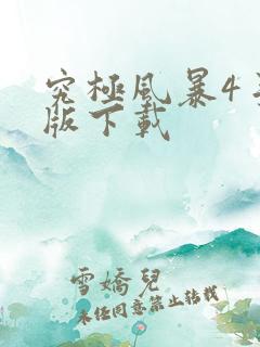 究极风暴4手机版下载