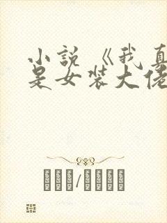 小说 《我真不是女装大佬》